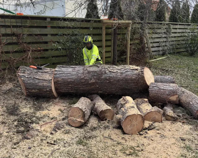 Arborist kapar en fälld stam i stockar på en villatomt