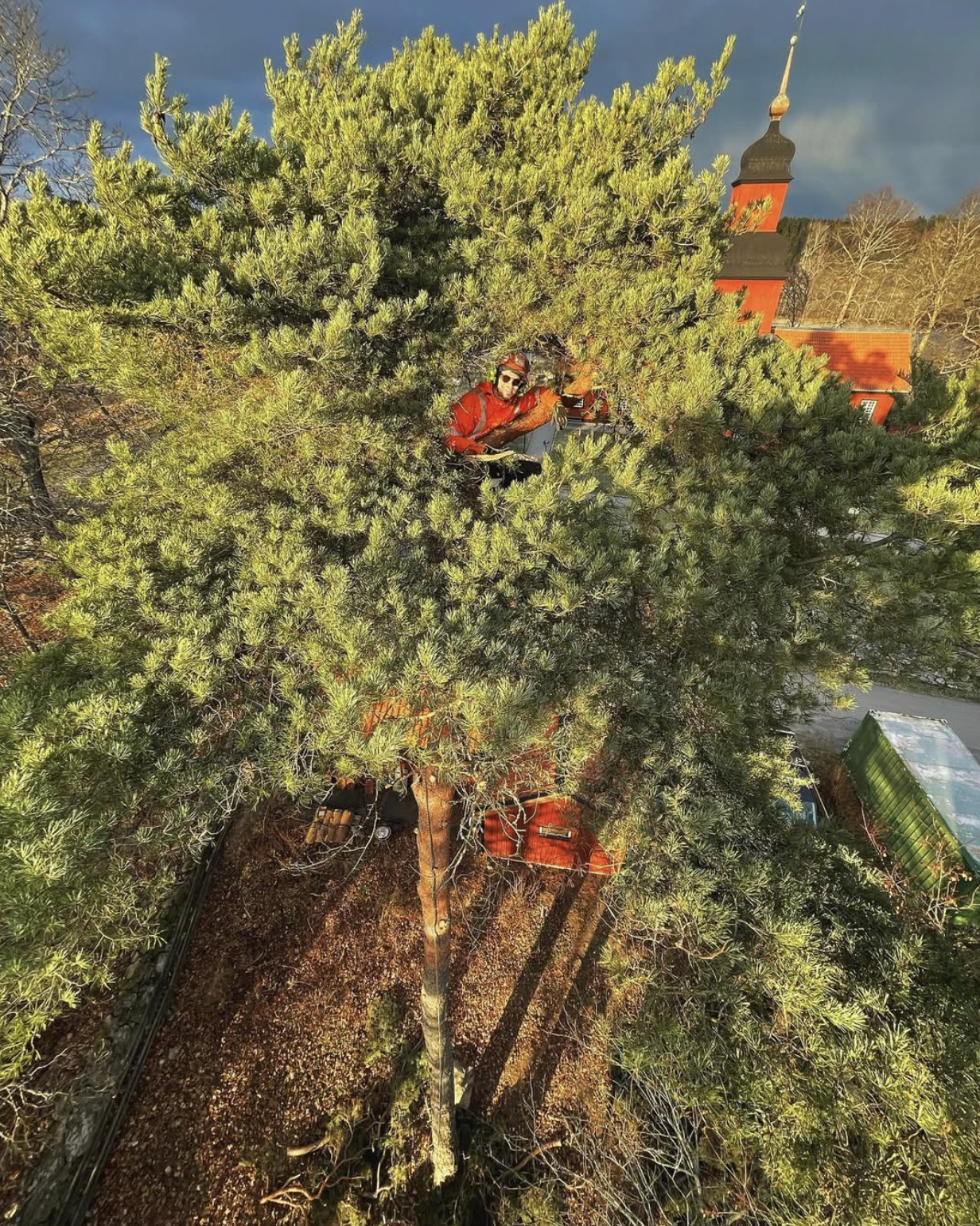 Tradfallare med motorsag utfor markfallning